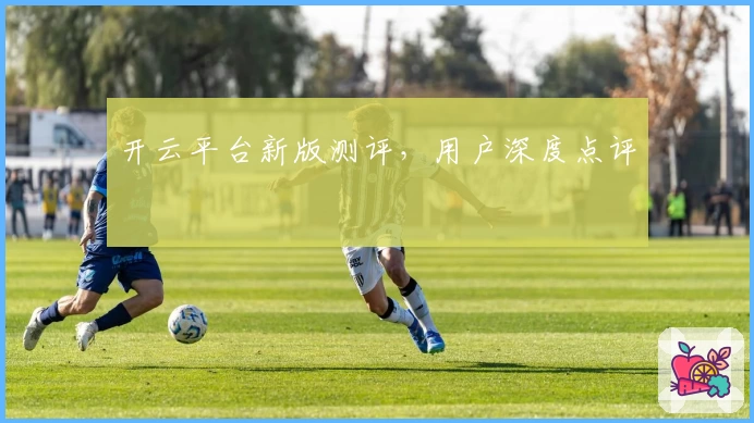 开云平台新版测评，用户深度点评