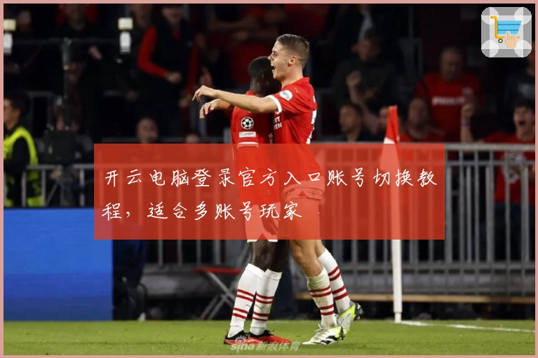 开云电脑登录官方入口账号切换教程，适合多账号玩家