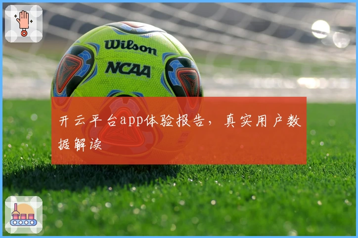 开云平台app体验报告，真实用户数据解读