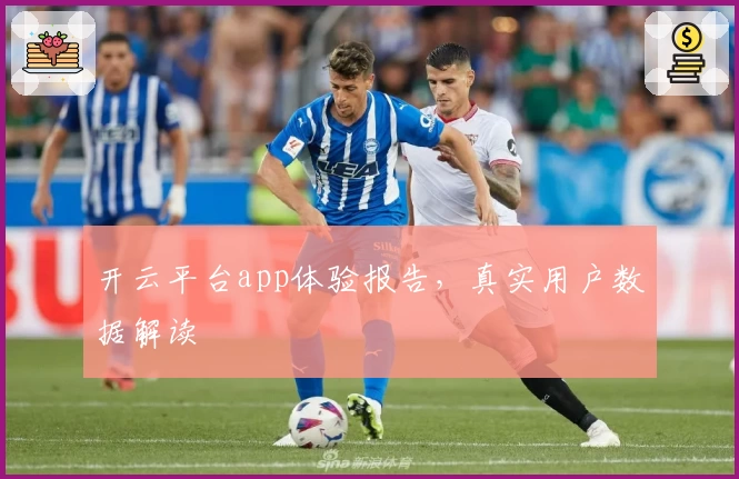 开云平台app体验报告，真实用户数据解读